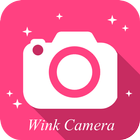 Wink Câmera ícone