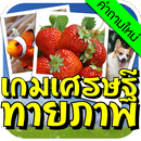 เกมเศรษฐี ทายภาพ APK