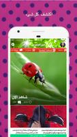 Amino Miraculous Arabic ميراكولوس poster