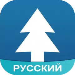 Amino для Gravity Falls APK Herunterladen