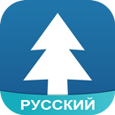 Amino для Gravity Falls aplikacja