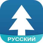 Amino для Gravity Falls icon