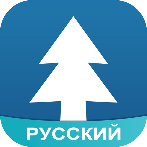 Amino для Gravity Falls