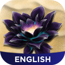 MTG Amino for Magic the Gathering Players APK