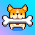 Corgi Rush!