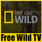 National Geography Free TV Online icône