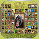 150 Animal Sounds APK