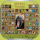 150 Animal Sounds-icoon