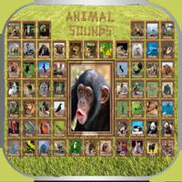 150 Animal Sounds-poster
