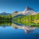389 images APK