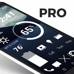 download Flight Pro - Icon Pack APK