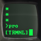 Terminal Pro - Green CRT Theme icône