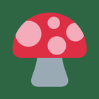 aishroom data icon