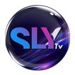 SLY TV SERVICES