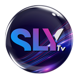 SLY TV SERVICES