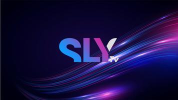 SLY TV SERVICES Plakat