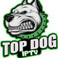 TopDogv1