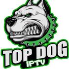 TopDogv1 icon