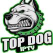 TopDogv1