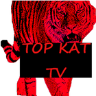 Top Kat TV иконка