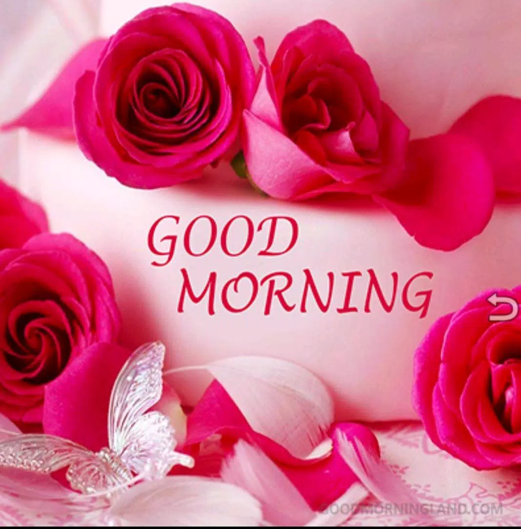 Good Morning Messages & Images with Flowers Roses APK for Android ...