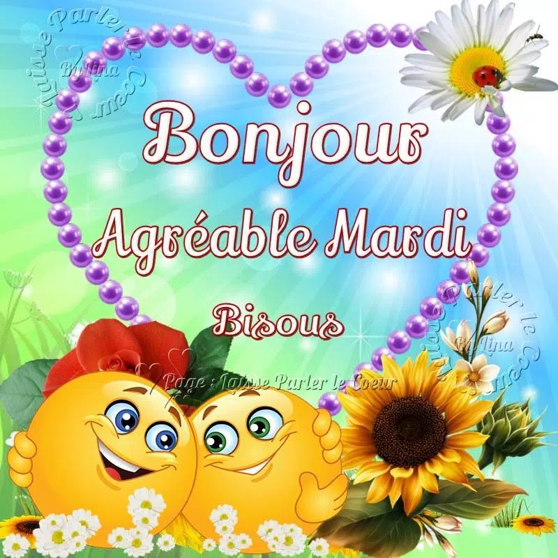 Bonjour Bonsoir For Android Apk Download