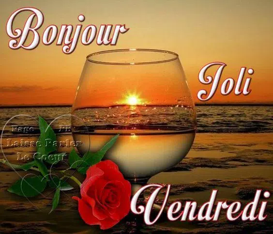 Bonjour Bonsoir For Android Apk Download Bonjour Bonsoir For Android Apk Download