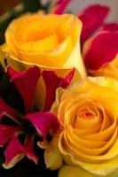 Flowers and Roses Live Wallpaper screenshot 1
