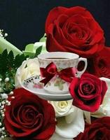 Flowers and Roses Live Wallpaper screenshot 2