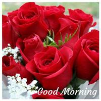 Good Morning And Night Images 海報