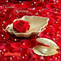 Good Morning And Night Images 截圖 2