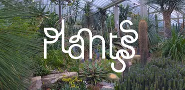 Plantsss
