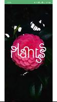 Plantsss Affiche