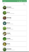Plantsss スクリーンショット 2