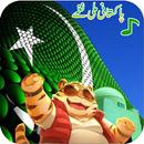 Pakistani Qoumi Milli Naghmay APK
