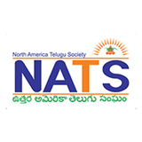 NATS APK