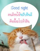 คำคมก่อนนอน تصوير الشاشة 1