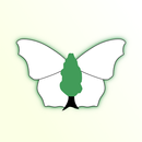 iRecord Butterflies APK