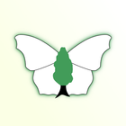 iRecord Butterflies icon