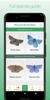iRecord Butterflies Poster