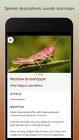 iRecord Grasshoppers captura de pantalla 1