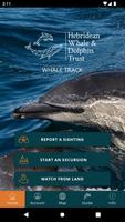 Whale Track Affiche