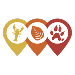INNS Mapper icon