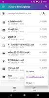 Natural File Explorer screenshot 3