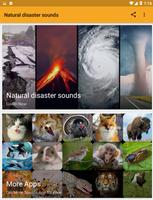 Natural disaster sounds Affiche