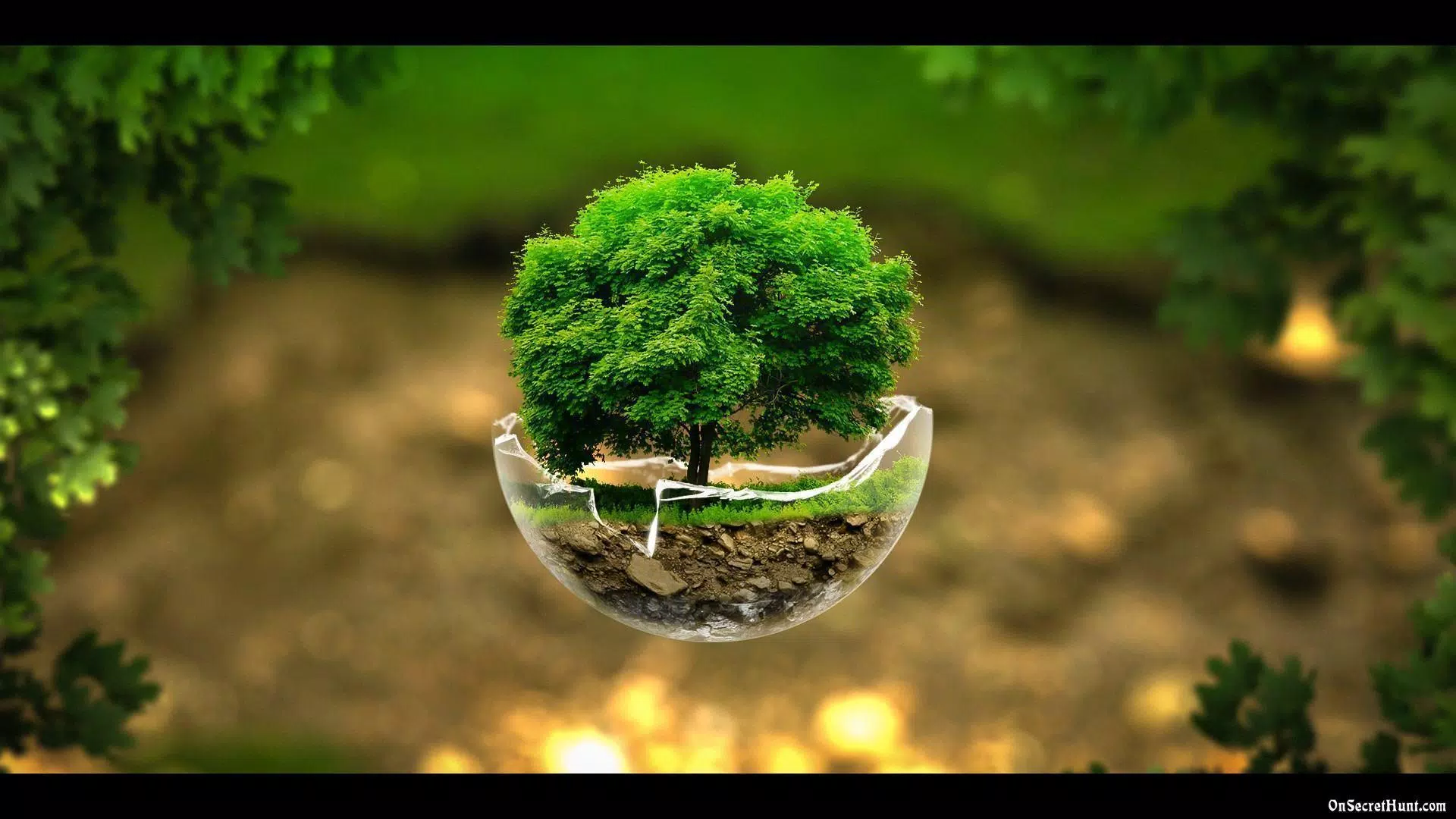 Natural Image Hd Wallpaper APK for Android Download Natural Image Hd Wallpaper APK for Android Download