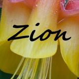 Zion NP Wildflowers APK