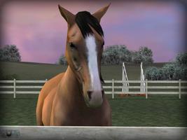 My Horse 포스터