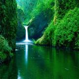 Nature Wallpaper icon