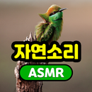 자연 소리 APK